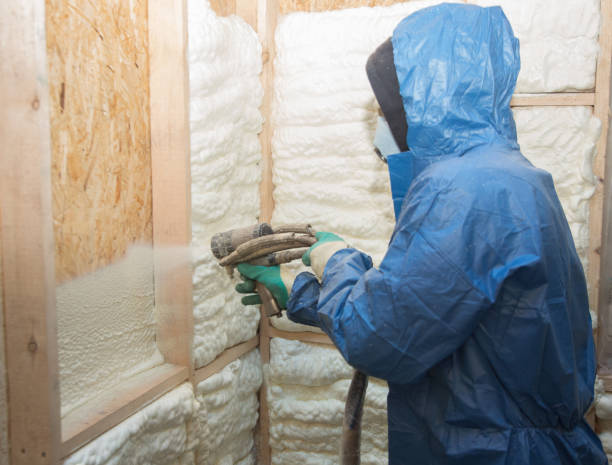 Best Eco-Friendly Insulation Solutions  in USA